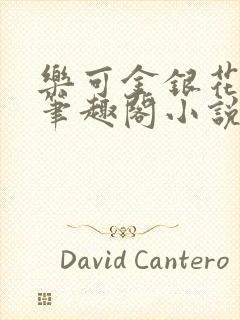 乐可金银花免费笔趣阁小说