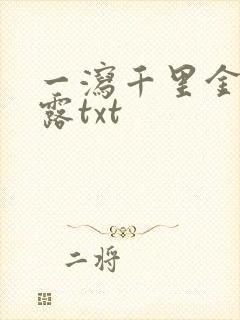 一泻千里金银花露txt