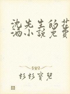 沈先生的花式调酒小说免费阅读