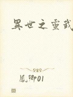 异世之灵武天下