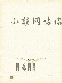 小说网站你懂的