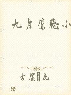 九月鹰飞小说