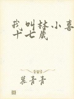 我叫林小喜今年十七岁