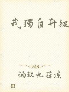 我独自升级小说