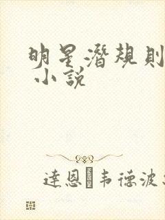 明星潜规则之皇 小说