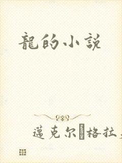 龙的小说