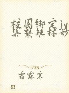 校园绑定jy收集系统林妙妙