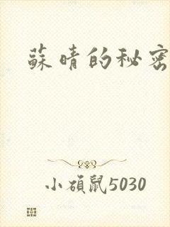 苏晴的秘密小说