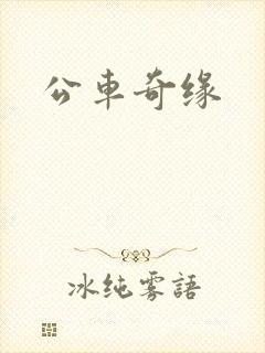 公车奇缘