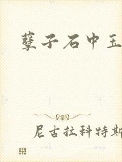 孽子石中玉