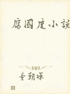腐国度小说