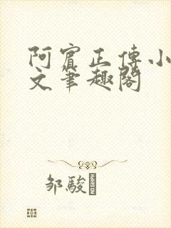 阿宾正传小说全文笔趣阁