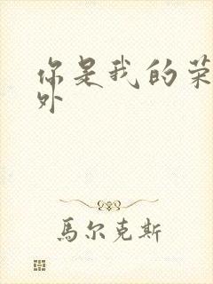 你是我的荣耀番外