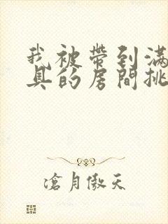 我被带到满是玩具的房间挑调游戏