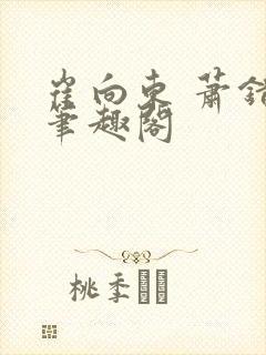 崔向东 萧错 笔趣阁