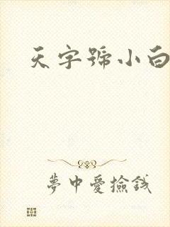天字号小白脸