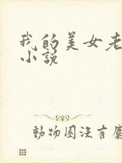 我的美女老板 小说