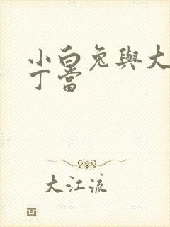 小白兔与大灰狼丁当