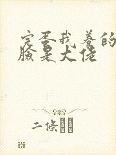 完蛋我养的小白脸是大佬