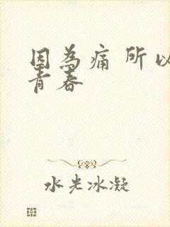 因为痛 所以叫青春