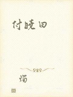 付晓田