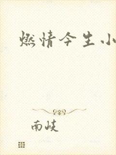 燃情今生小说