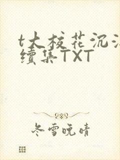 t大校花沉浮录续集TXT