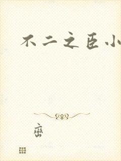 不二之臣小说