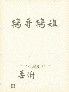 鸨哥鸨姐