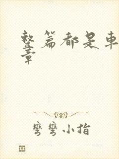 整篇都是车的文章