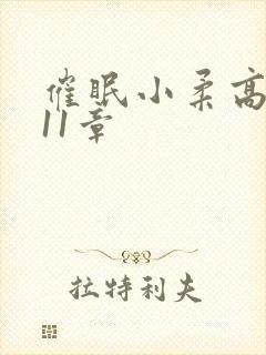 催眠小柔高达第11章