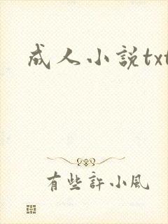 成人小说txt