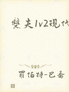 双夫1v2现代