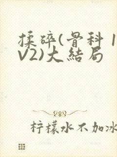 揉碎(骨科 1V2)大结局