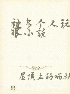 被多个人玩屁股眼小说