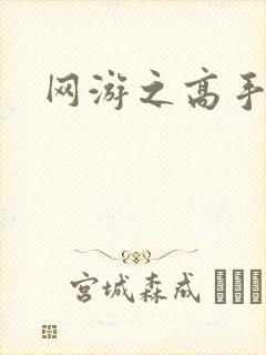 网游之高手寂寞