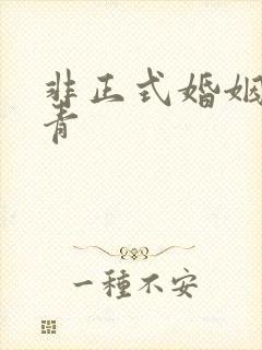 非正式婚姻雾里青