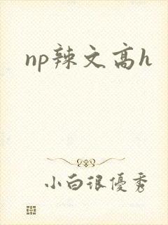 np辣文高h