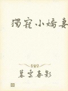 独宠小娇妻