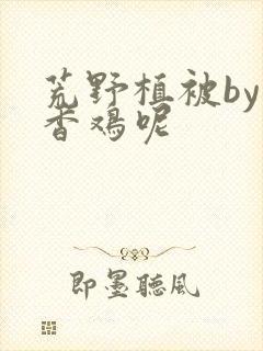 荒野植被by麦香鸡呢