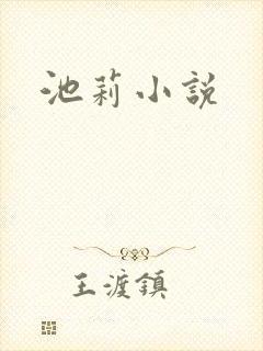 池莉小说