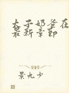 太子奶爸在花都最新章节