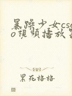 暴躁少女csgo视频播放器推荐