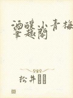 酒酿小青梅po笔趣阁