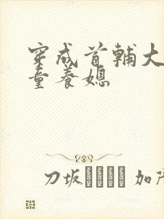 穿成首辅大人的童养媳