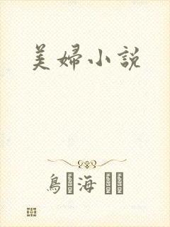 美妇小说