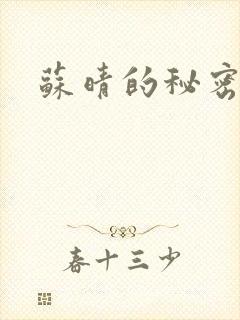 苏晴的秘密小说