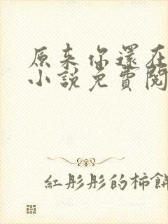 原来你还在这里小说免费阅读