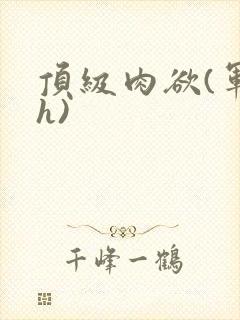 顶级肉欲(军高h)