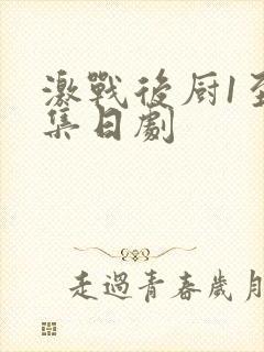 激战后厨1至5集日剧